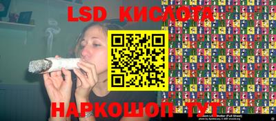 стафф Бийск