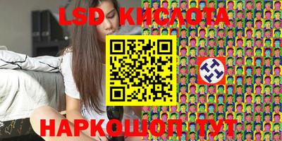 стафф Бийск