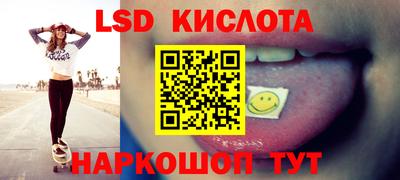стафф Бийск