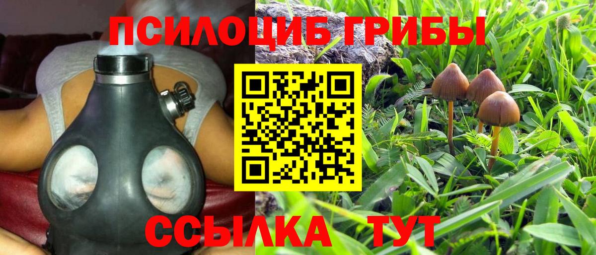 Галлюциногенные грибы мицелий Златоуст