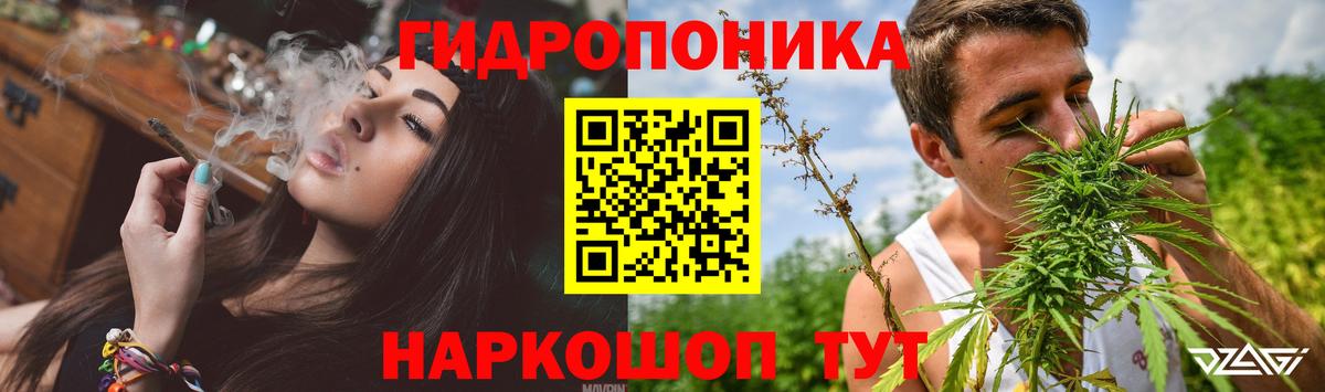 Бошки Шишки сатива  Конопля OG Kush  Каннабис планчик  Златоуст  Бошки марихуана THC 21%  Вход с VPN 